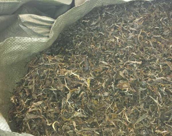 茶叶烘干房