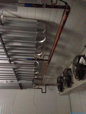 彭州粉条厂冷库